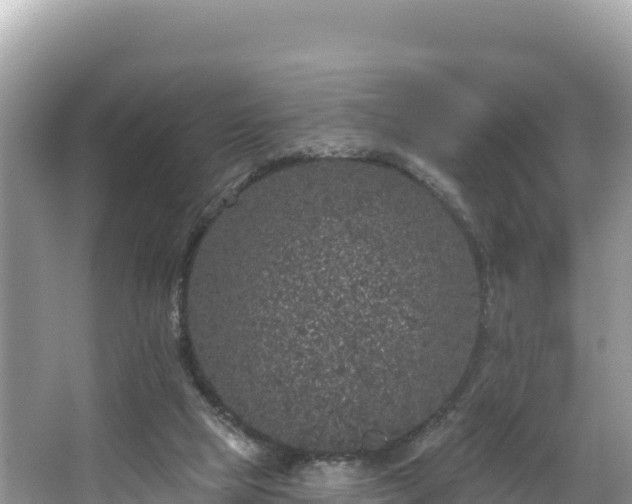 X0000067900065200604171414