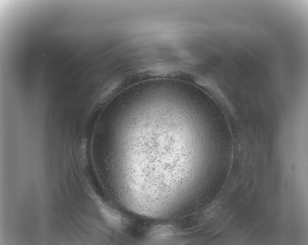 X0000067900066200604171414