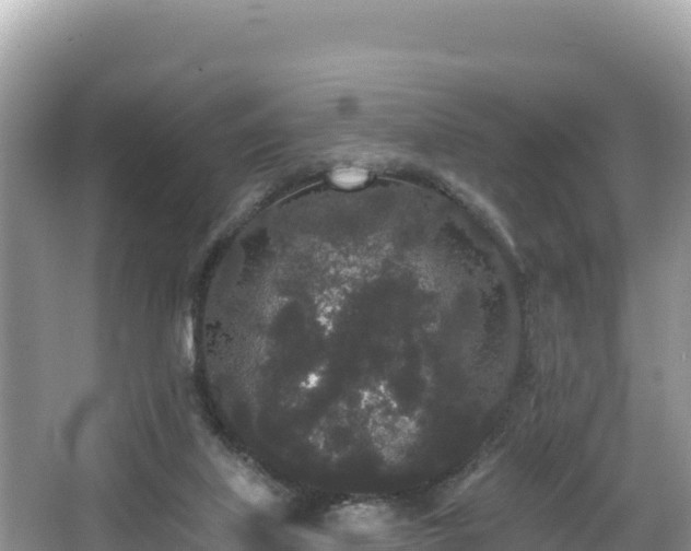 X0000067900067200604171414