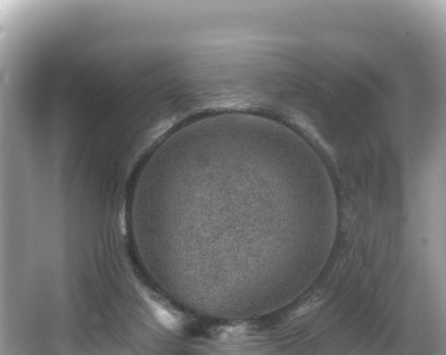 X0000067900068200604171414