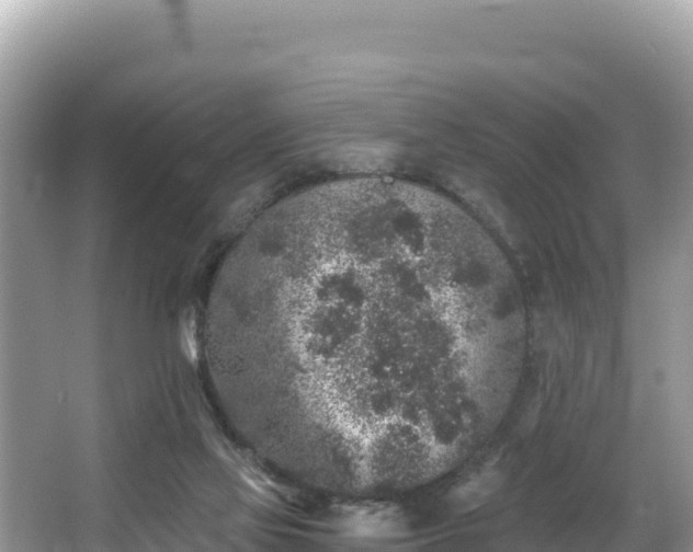 X0000067900069200604171414