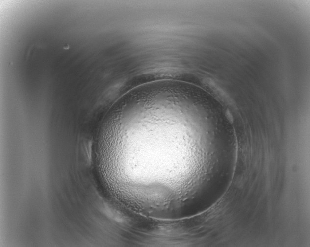 X0000067900070200604171414