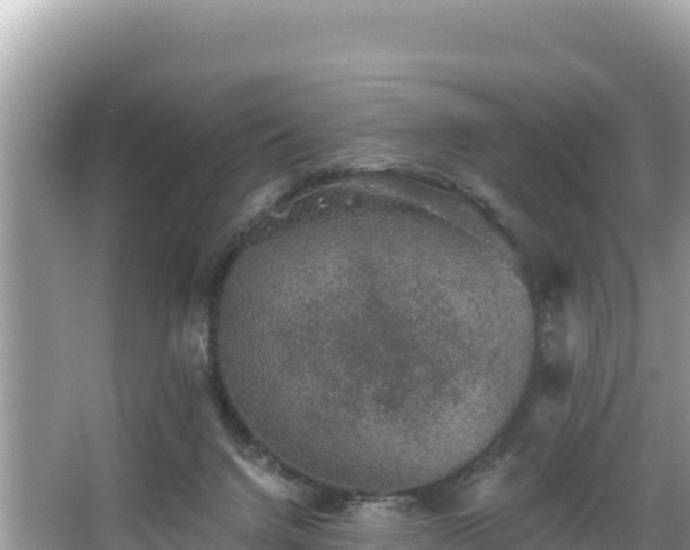 X0000067900072200604171414