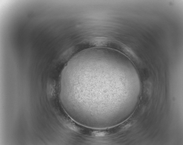 X0000067900073200604171414