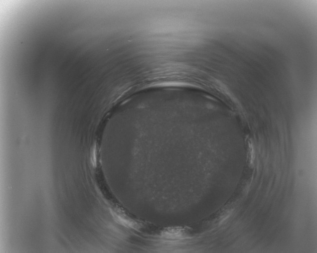 X0000067900076200604171414