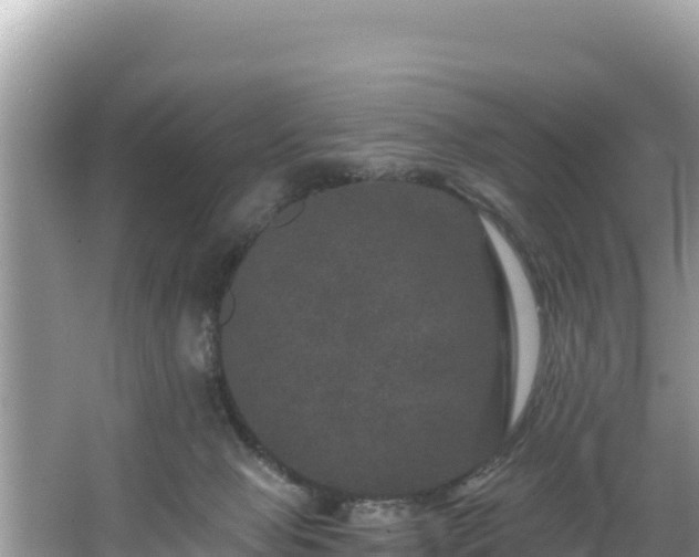 X0000067900077200604171414