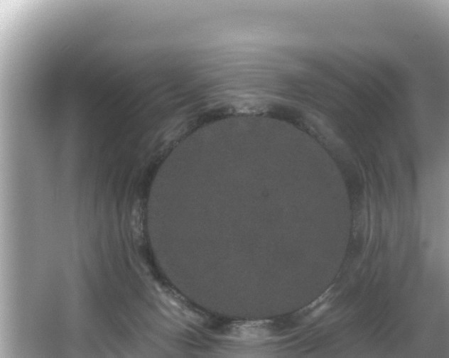 X0000067900078200604171414