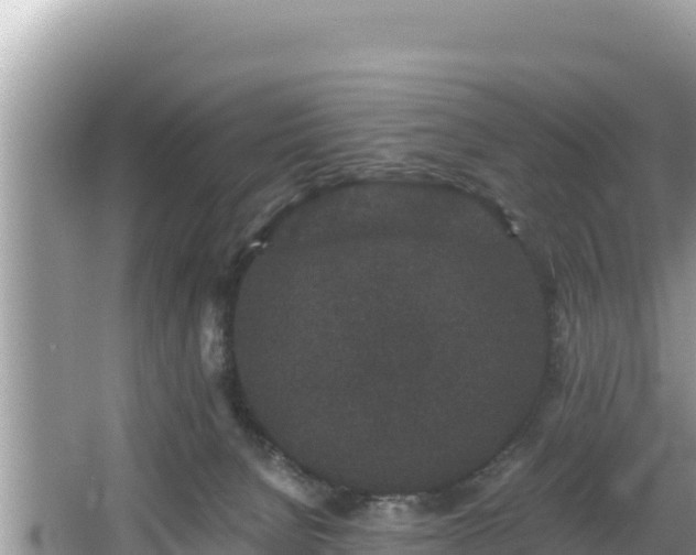 X0000067900080200604171414