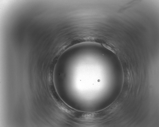 X0000067900084200604171414