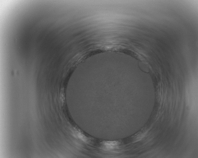 X0000067900085200604171414