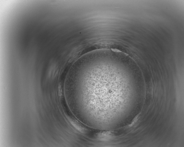 X0000067900086200604171414