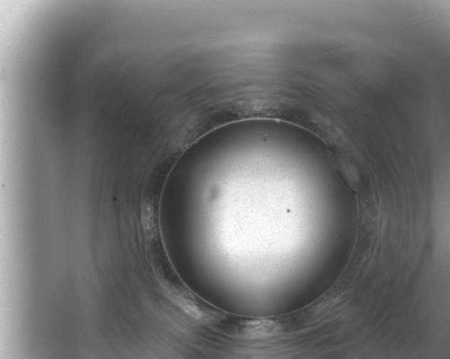 X0000067900087200604171414