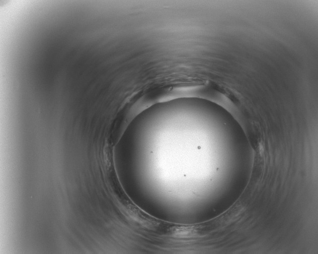 X0000067900088200604171414