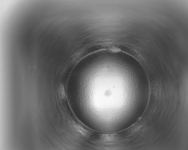 X0000067900089200604171414