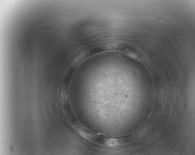 X0000067900091200604171414