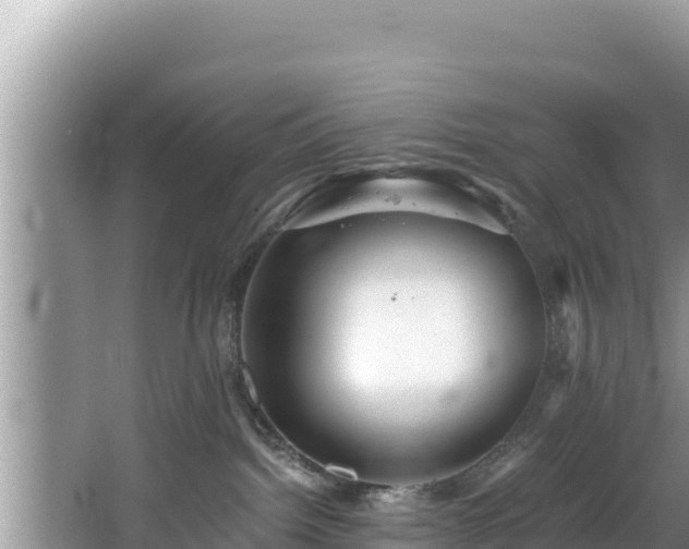 X0000067900092200604171414