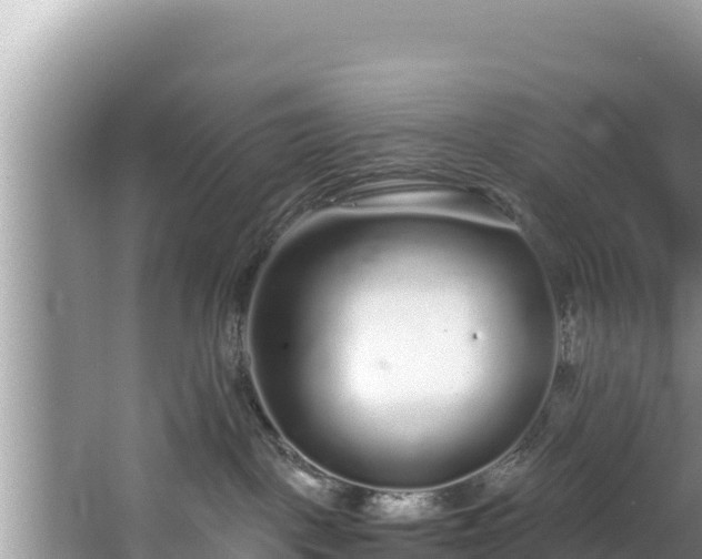 X0000067900093200604171414