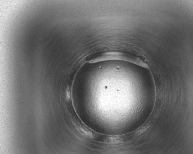 X0000067900095200604171414