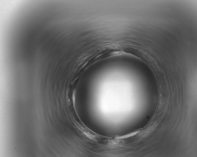 X0000067900096200604171414