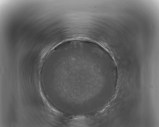 X0000067900097200604171413