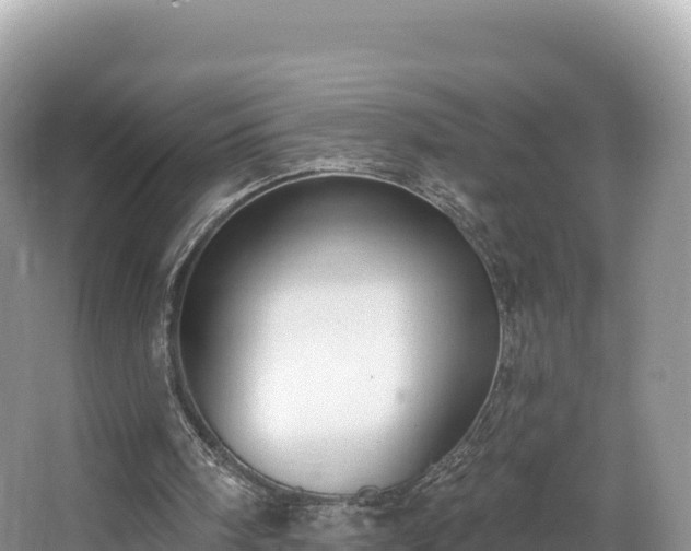 X0000067900098200604171413