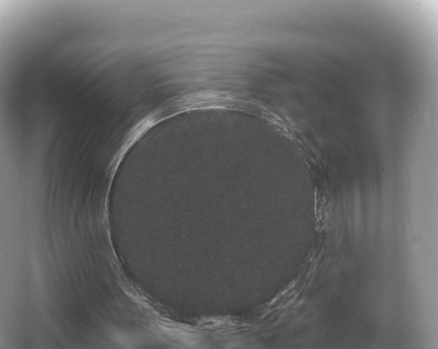 X0000067900099200604171413