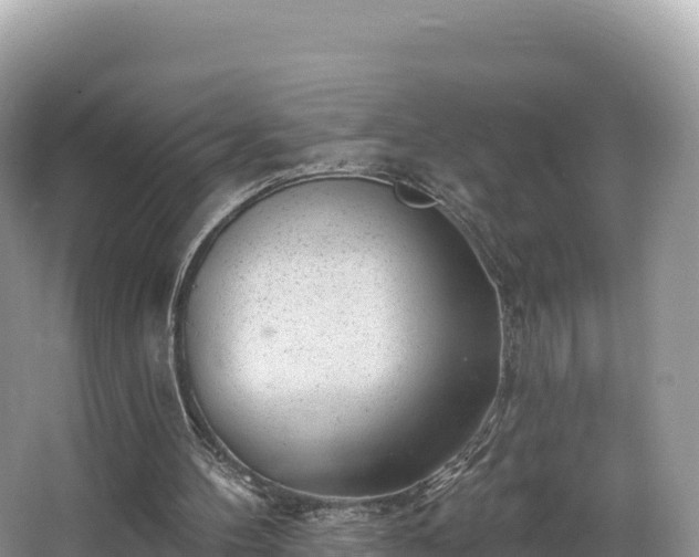 X0000067900100200604171413