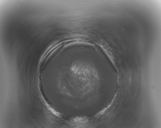 X0000067900101200604171413