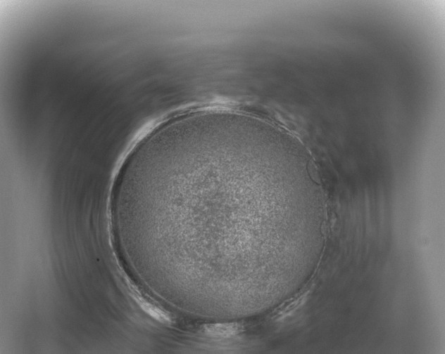 X0000067900102200604171413