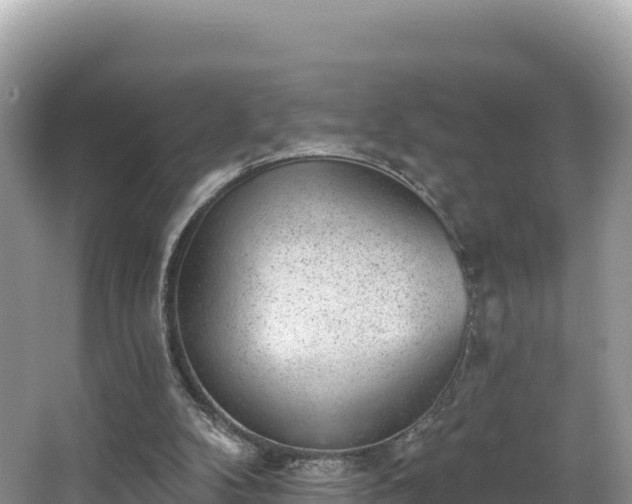 X0000067900104200604171413