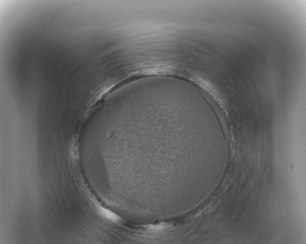 X0000067900105200604171413