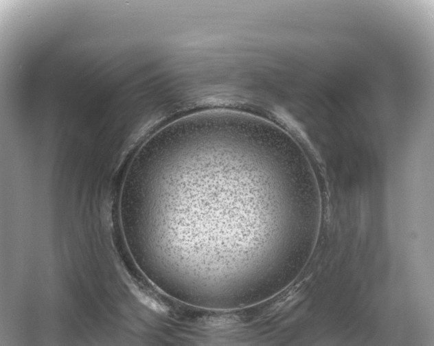 X0000067900106200604171413