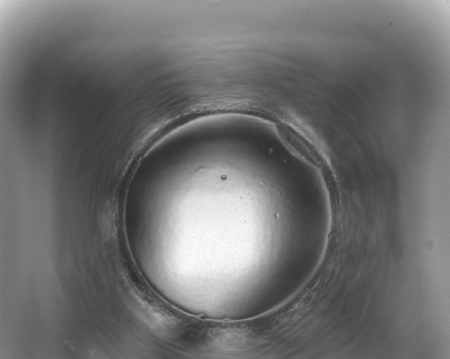 X0000067900107200604171413