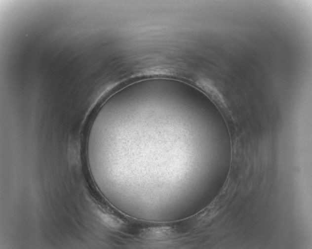 X0000067900108200604171413