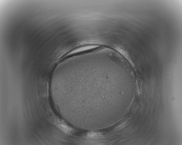 X0000067900109200604171413