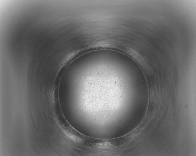 X0000067900112200604171413