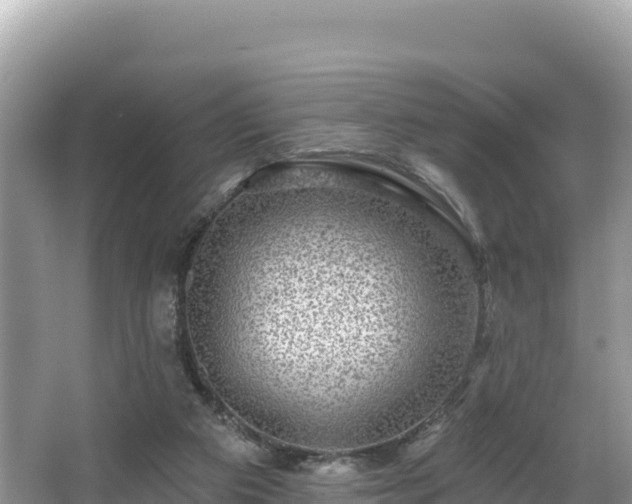 X0000067900113200604171413