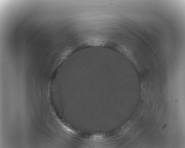 X0000067900114200604171413