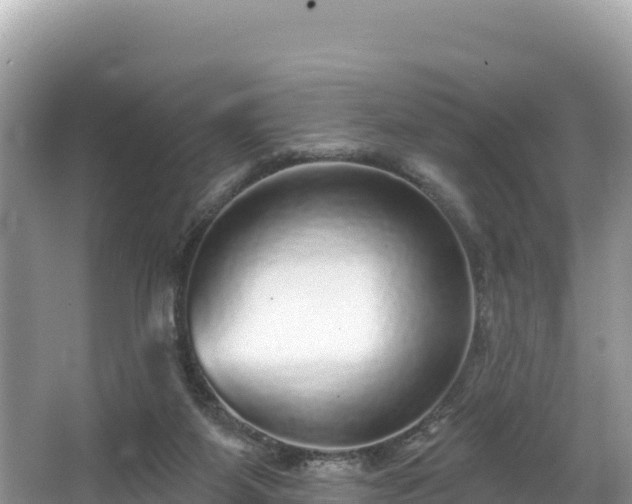 X0000067900115200604171413