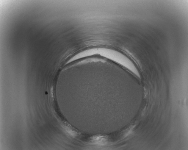 X0000067900117200604171413