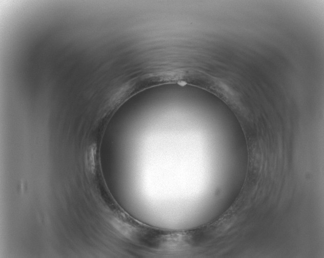 X0000067900118200604171413