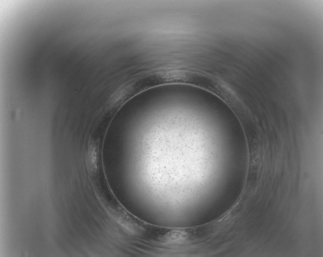 X0000067900124200604171413