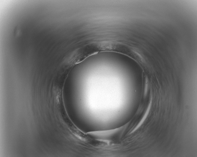 X0000067900125200604171413