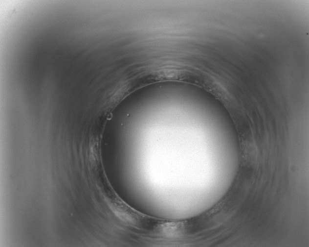 X0000067900126200604171413