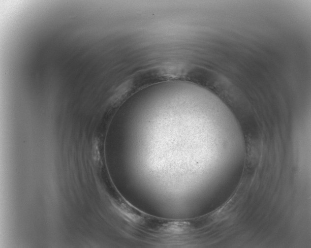 X0000067900128200604171413