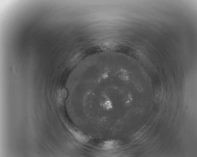 X0000067900130200604171413