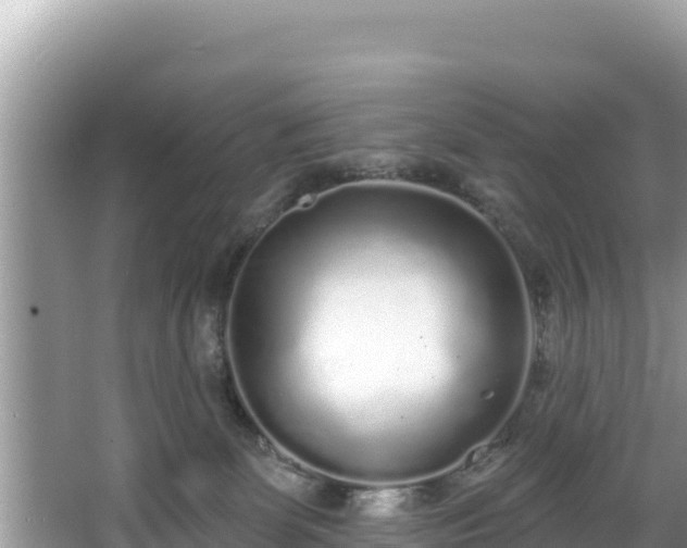 X0000067900131200604171413