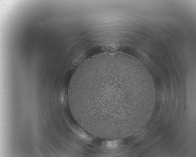 X0000067900134200604171413