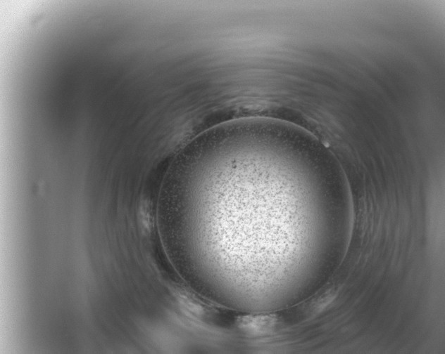 X0000067900135200604171413