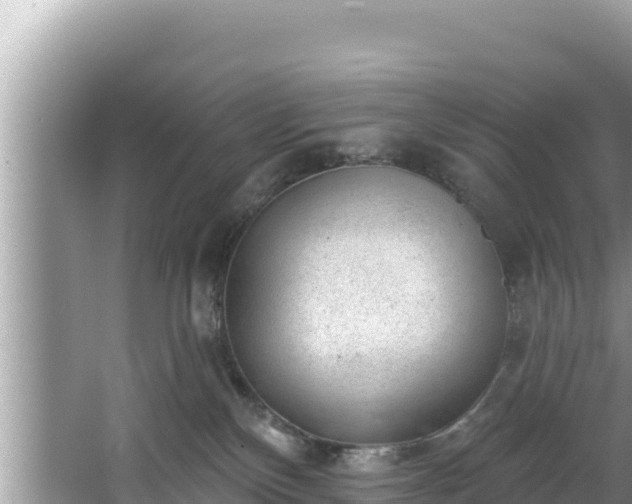 X0000067900136200604171413